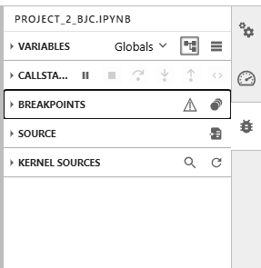../../_images/debug-panel.png